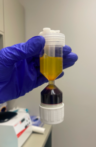 Screen Shot 2024-06-24 at 10.33.28 PM